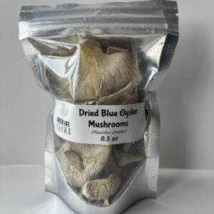 Dried Blue Oyster scaled